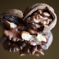 Organic Walnut Shells (Juglans Regia) – Natural & Organic Health Benefits