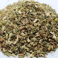 Organic COSTMARY HERB | Tanacetum Balsamita | Costmary Tea | Herbal Tea | Health Remedy | Dried Herbs | Natural Tea | Organic Tea