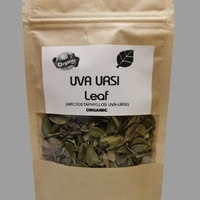 Organic UVA URSI LEAF | Arctostaphylos Uvaursi | Uva Ursi Tea | Dried Leaf | Organic Herbs | atural Organic Tea | Organic Dried Herb