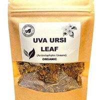 Organic UVA URSI LEAF | arctostaphylos uvaursi | uva ursi tea | dried leaf | organic herbs | dried herbs | herba | tea