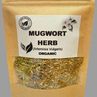 Organic MUGWORT HERB | artemisia vulgaris | mugwort tea | herba artemisiae | herbal tea | radix artemisiae | organic herbs | herba