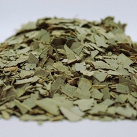 Organic EUCALYPTUS LEAF POWDER | eucalyptus globulus | eucalyptus tea | herbal tea | dried powder | organic herbs | herba | tea | dried herb