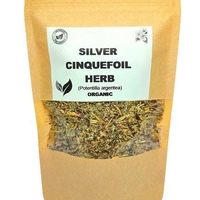 Organic SILVER CINQUEFOIL HERB | potentilla argentea | silver cinquefoil tea | herbal tea | herba | tea | organic herbs | natural herbs