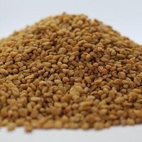 Organic FENUGREEK SEEDS | Trigonella Foenum Graecum | Fenugreek Tea | Herbal Tea | Dried Seeds | Organic Seeds | Herba | Tea