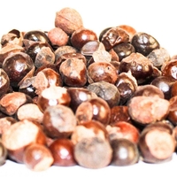 Organic Guarana Seeds | Whole Guarana Seeds | Paullinia Cupana | Guarana Fruit | Guarana Tea | Dried Fruit | Organic Fruit | Herbal Tea