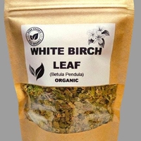 WHITE BIRCH LEAF | Betula pendula | B. alba – Natural Detox & Immune Support