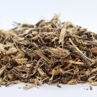 Organic BUTCHERS BROOM ROOT | Ruscus Aculeatus | Dried Root | Butchers Broom Tea | Organic Root | Organic Tea | Herba | Tea Organic Herbs