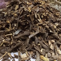 Organic Wild Asparagus Root (Asparagus officinalis)