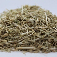 Organic FIELD ERYNGO HERB | Eryngium Campestre | Loose Leaf Natural Herbs | Herbal Tea | Herba | Tea | Dried Herbs | Dried Bulk Herb