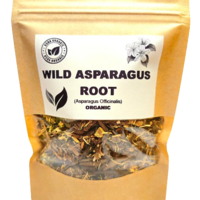 Organic Wild Asparagus Root (Asparagus officinalis)