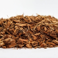 White Poplar Bark (Populus Alba) – Natural Pain Relief & Anti-Inflammatory – Organic & Wild-Harvested