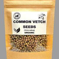 Organic common vetch seeds | vicia sativa | vetch seeds tea | garden vetch | dried seeds | organic seeds | herbal tea | herba | semens