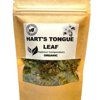 Organic HART'S TONGUE LEAF | asplenium scolopendrium | hart's tongue fern leaf | harts tongue tea | herbal tea | organic herbs | herba | tea