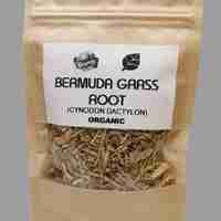 Organic BERMUDA GRASS ROOT | Cynodon Dactylon | Bermuda Grass Root Tea | Herbal Tea | Herba | Tea | Dried Root | Organic Root | Organic Herb
