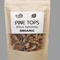 Organic PINE TOPS | Pinus sylvestris | Wild Picked | Pine Tops for Pine Tops Tea Premium Quality Wildharvested Pine Tops Tea