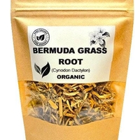 Organic bermuda grass root | cynodon dactylon | bermuda grass tea | dried root | herbal tea | organic herbs | dried herbs | herba | tea