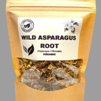 Organic Wild Asparagus Root (Asparagus officinalis)