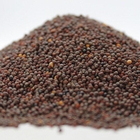 Organic BLACK MUSTARD SEEDS | Brassica Nigra | Black Mustard Tea | Seeds | Dried Seeds | Organic Seeds | Organic Herb | Herba Tea