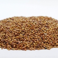 Organic ALFALFA SEEDS | Medicago Sativa | Alfalfa Herbs | Alfalfa Tea | Dried Seeds | Organic Seeds | Organic Herbs | Herbal Tea