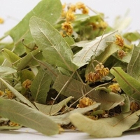 Organic linden flower & leaf | tilia officinalis | tilia spp flos | linden flower tea | lime flower linden flower | herbal tea | herba | tea