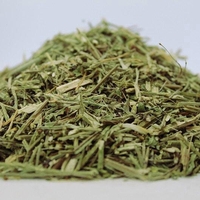 Organic BLUE VERVAIN HERB | Verbena Hastata | Vervain Herb Tea | Herbal Tea | Verbena officinalis | Organic Loose Tea | Loose Dried Herbs
