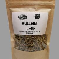 Organic MULLEIN LEAF | Mullein Leaf Tea | Mullein Leaf | c/s Verbascum thapsus | Dried Wildcrafted | Herbs Remedy | Natural Organic Tea