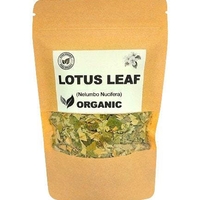 Organic LOTUS LEAF | nelumbo nucifera | lotos leaf tea | dried leaf | herbal tea | herba | tea | herbalism | organic herbs | dried herbs