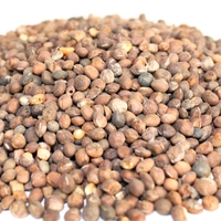 Organic COMMON VETCH SEEDS | Vicia sativa | Vetch Seeds Tea | Garden Vetch | Dried Seeds | Organic Seeds | Herbal Tea | Herba