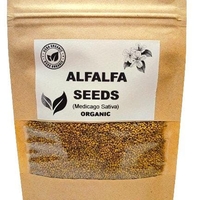 Organic ALFALFA SEEDS | medicago sativa | alfalfa herbs | alfalfa tea | dried seeds | organic seeds | organic herbs | herba | tea