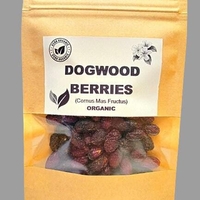 Organic DOGWOOD BERRIES | cornus mas fructus | dogwood berries tea | dried berries | organic fruits | organic herb | herba | fruits tea