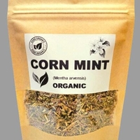 Organic CORN MINT | mentha arvensis | corn mint tea | field mint tea | wild mint tea | herbal tea | dried herbs | organic herbs | herba tea