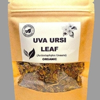Organic UVA URSI LEAF | arctostaphylos uvaursi | uva ursi tea | dried leaf | organic herbs | dried herbs | herba | tea
