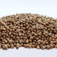 Organic CORIANDER SEEDS | Coriandrum Sativum | Semens | Coriander Tea | Herbal Tea | Herba | Tea | Dried Seeds | Spices