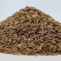 Organic DILL SEEDS | Anethum Graveolens | Dill Tea | Semens | Dried Seeds | Organic Herb | Herba | Tea | Kitchen Herbs | Spices