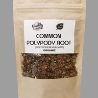 Organic COMMON POLYPODY ROOT | Polypodium vulgare | Polypody Root Tea | Herbal Tea | Herba | Tea | Dried Root | Organic Root | Organic Herbs