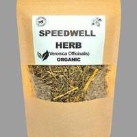 Organic speedwell herb | veronica officinalis | speedwell herb tea | herbal tea | herba | tea | dried herbs | organic herbs | herbalist