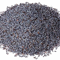 BLUE POPPY SEEDS | papaver somniferum | whole oily seeds | dietary fibre | | tea | sprouting | papaver | poppyseed | natural seeds
