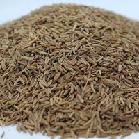Organic CARAWAY SEEDS | Carum Carvi | Caraway Tea | Dried Seeds | Organic Herbs | Organic Spices | Herbal Tea | Herba | Tea |