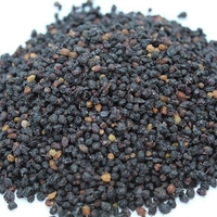 Organic ELDERBERRY | Sambucus Nigra | Elderberry Berries Tea | Herbal Tea | Dried Berries | Organic Herbs | Vitamin | Herbs | Herba