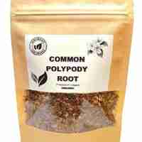 Organic common polypody root | polypodium vulgare | polypody tea | common tea | herbal tea | dried root | organic herbs | herba | tea