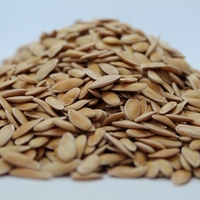 Organic MELON SEEDS | Cucumis Melo | Melon Tea | Herbal Tea | Semens | Dried Seeds | Organic Seeds | Organic Herbs