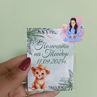 Магнити на тема '' Лъвче в зелено ''