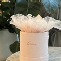 Velours Rosé (Розово кадифе)