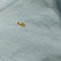 Polo ralph lauren риза L размер