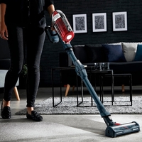 Rowenta Xforce Flex 11.60 Animal Care