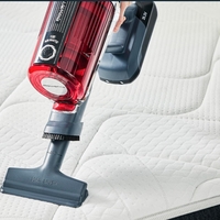 Rowenta Xforce Flex 11.60 Animal Care