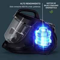 Rowenta Swift Power RO2981