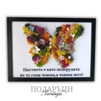 Картина със скандинавски мъх,,Пеперудата на щастието 