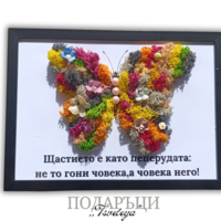 Картина със скандинавски мъх,,Пеперудата на щастието 