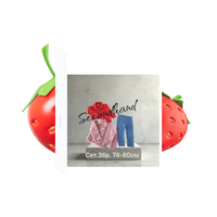 Сет момиче 74-80